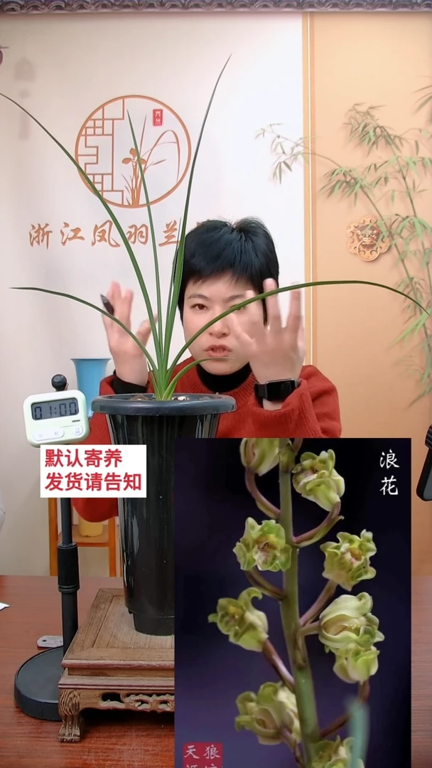 【闪购商品】浪花，随心