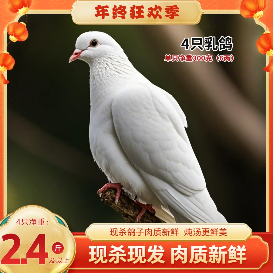 bozaijia波仔家大别山林间乳鸽单只300g*4只