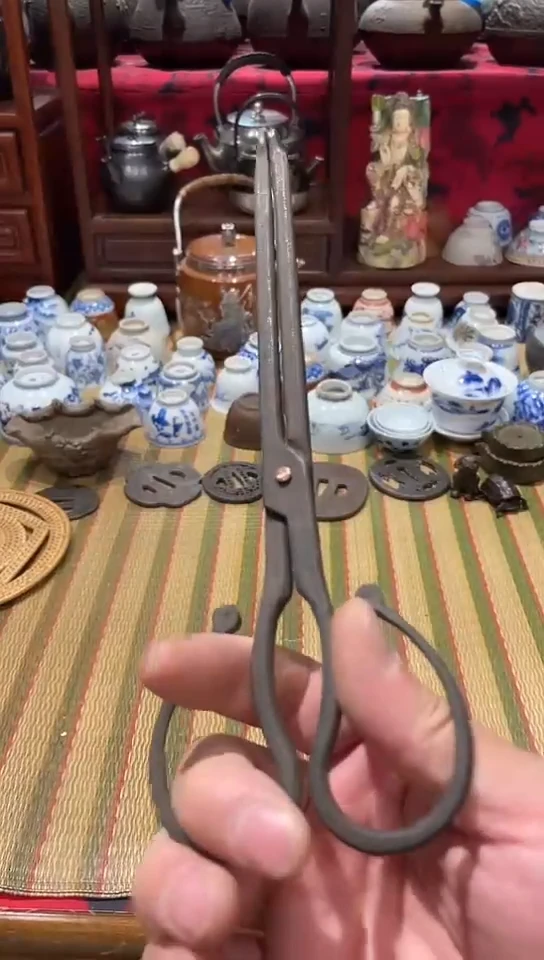 发发发发发发发发发发