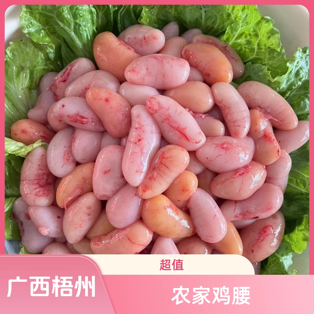 广西梧州、包新鲜的公鸡蛋鸡腰子鸡春子鸡子批发冷链包邮到家
