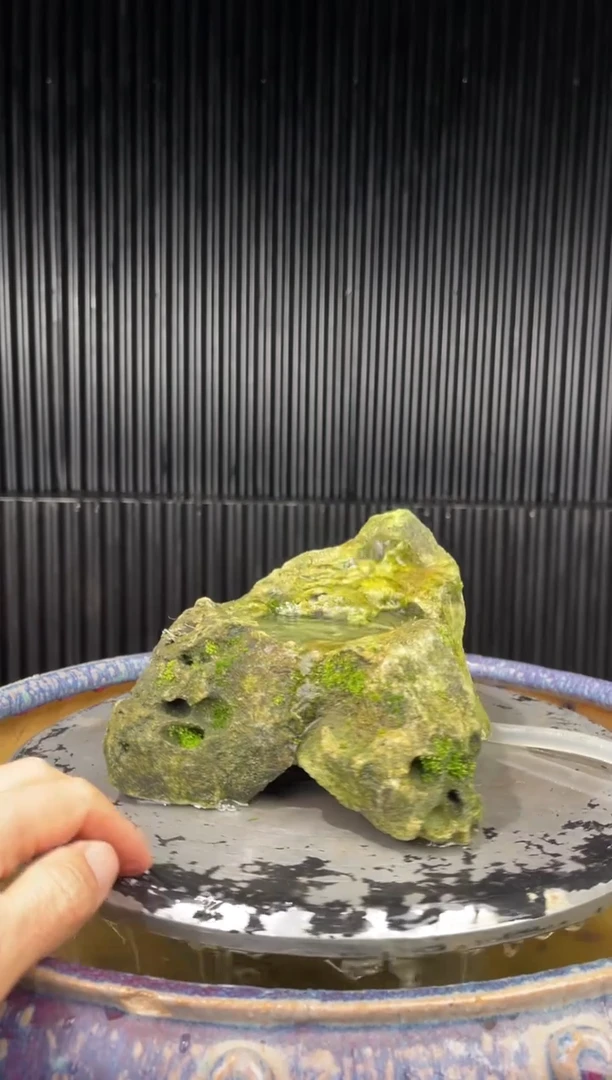 吴定石一物一拍专属