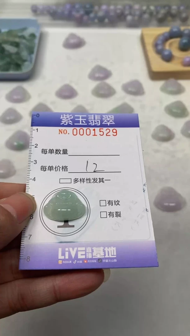 【闪购商品】翡翠颈饰未镶嵌挂件