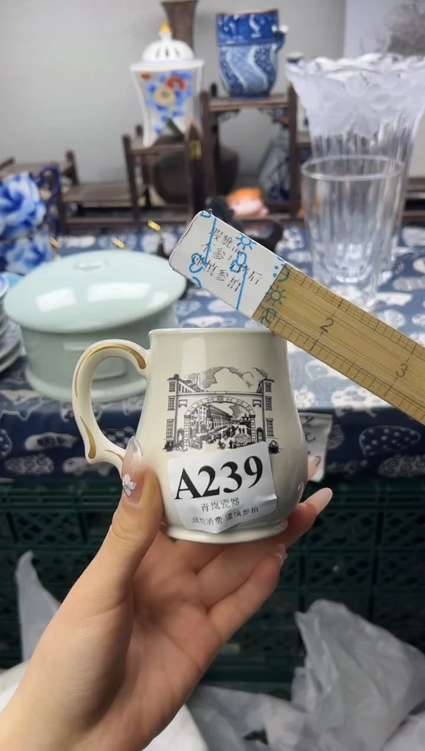 瓷片柒****食  A239