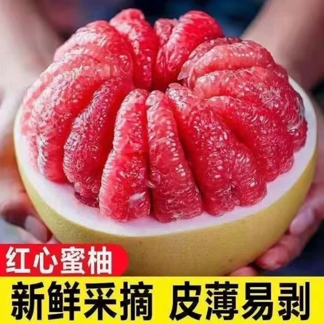 【果园开园】正宗琯溪平和10年老树红心柚皮薄肉厚新鲜多汁饱满薄皮