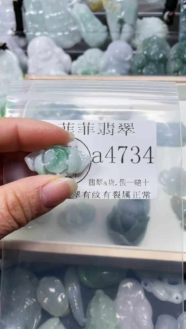 【闪购商品】翡翠颈饰未镶嵌闪购4734