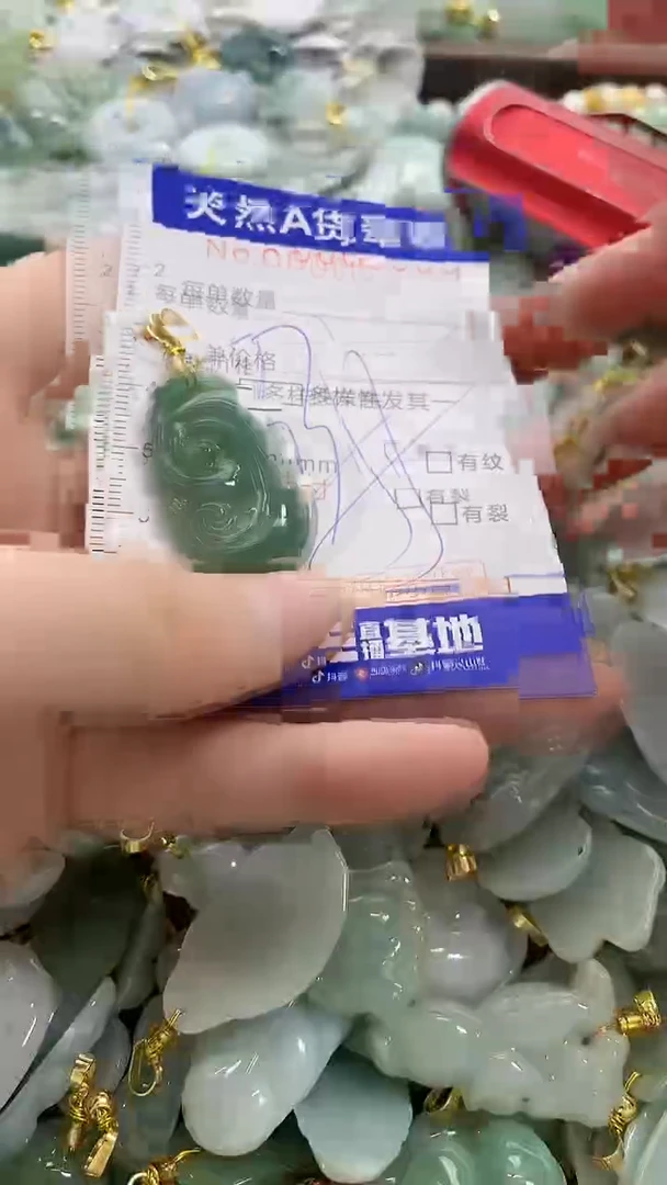 颈饰未镶嵌翡翠纯天然a货翡翠