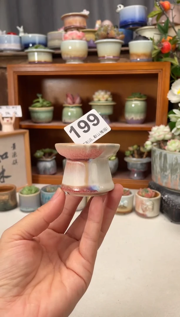 瓷片199知木小芳花盆直播编号1