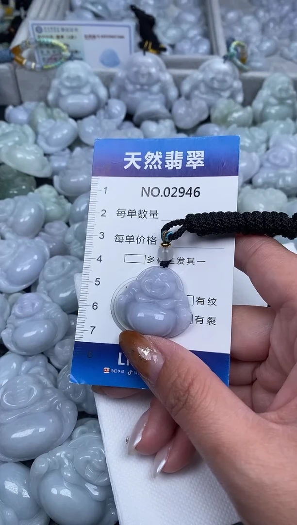 颈饰未镶嵌翡翠纯天然A货翡翠2946
