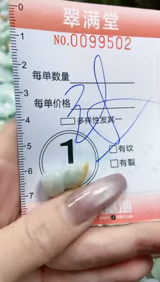 【闪购商品】翡翠颈饰未镶嵌闪购0099502