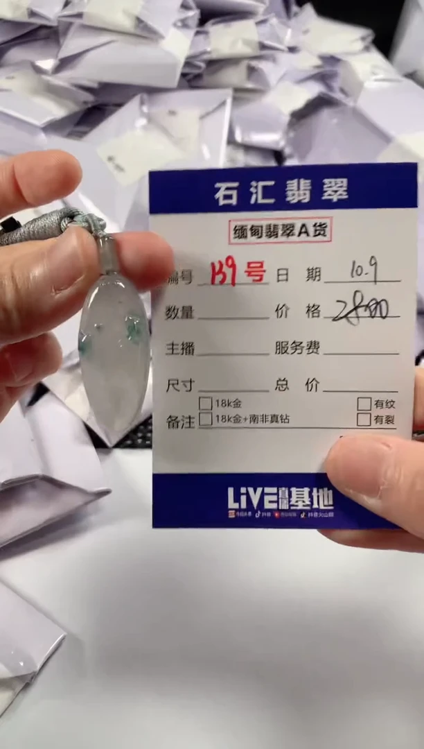 颈饰未镶嵌翡翠1