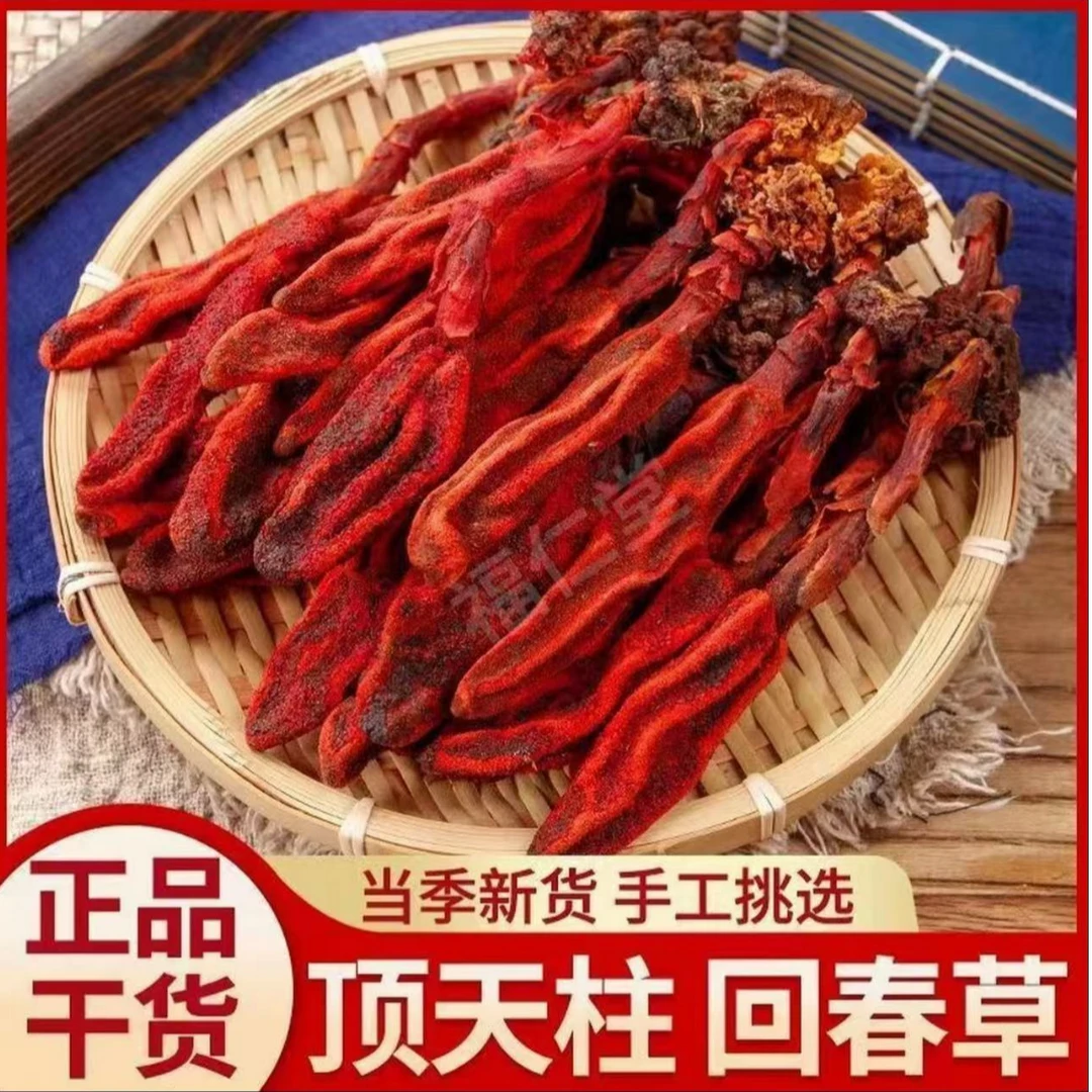 云南野生顶天柱无熏硫整株好货回春草可泡水泡酒煲汤泡茶的干货姜