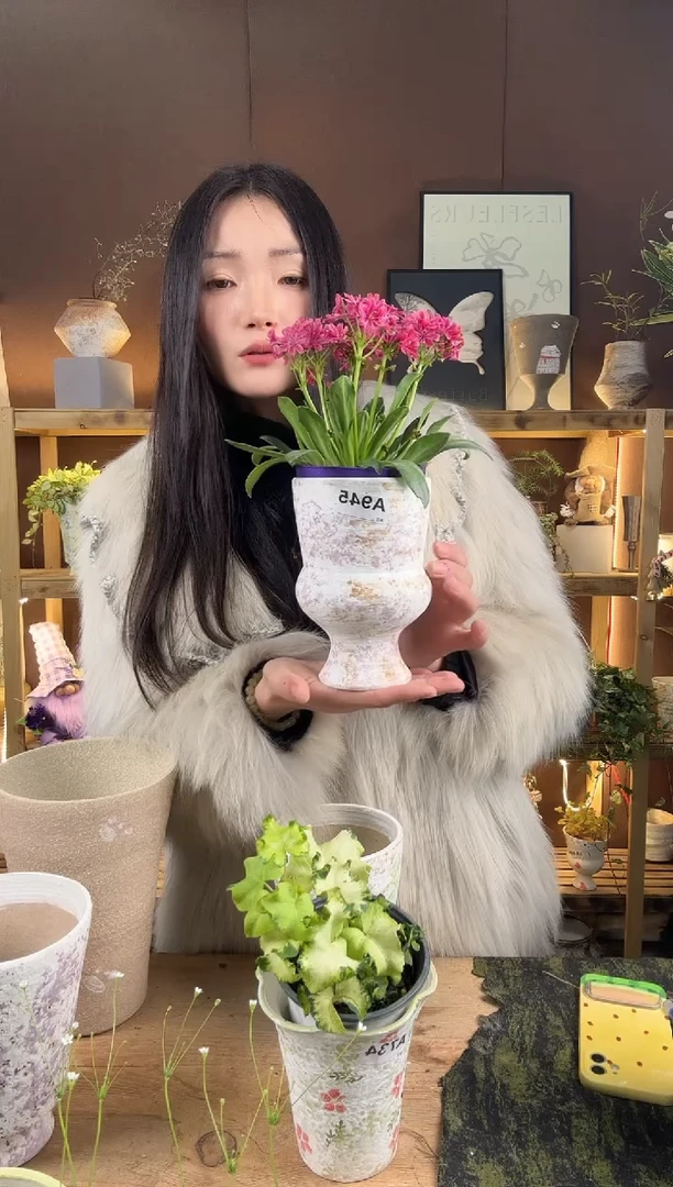 以实际为准x***?编号945   景德镇手绘花盆