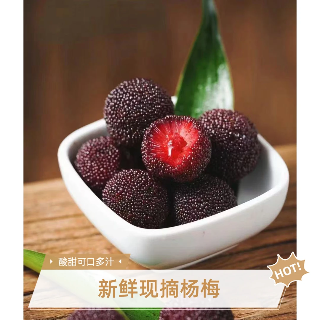 正宗浙江台州仙居荸荠杨梅新鲜当季现摘孕妇水果礼盒