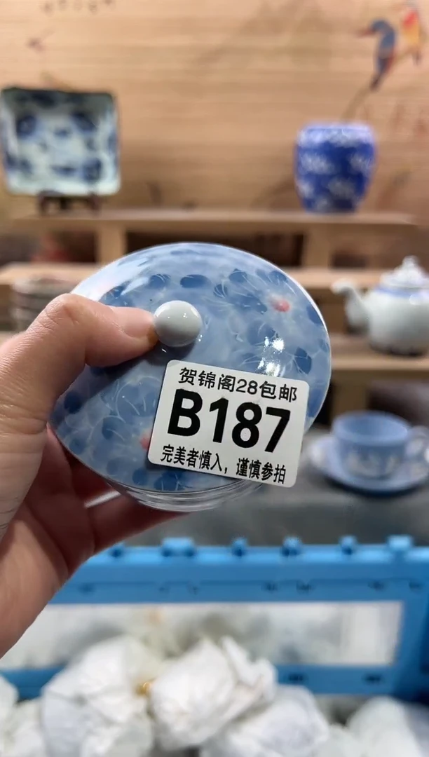 【闪购商品】瓷片当天满28米包邮B187
