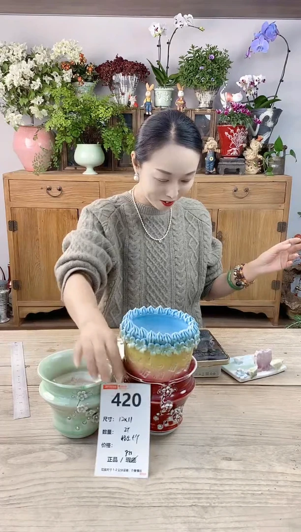 小玩子花盆直播编号420