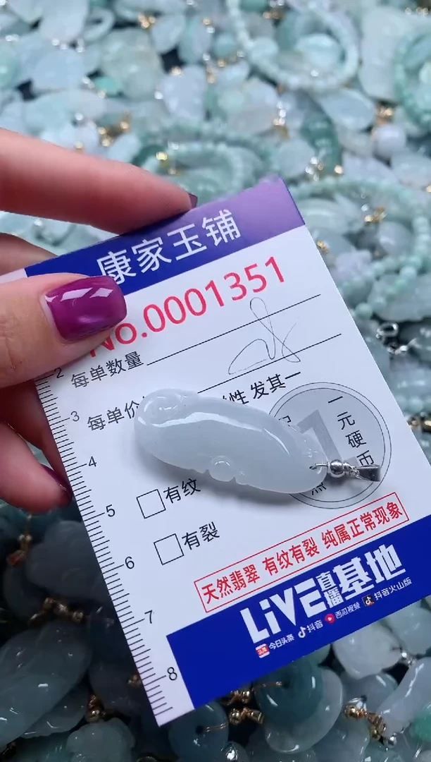 颈饰未镶嵌翡翠1351