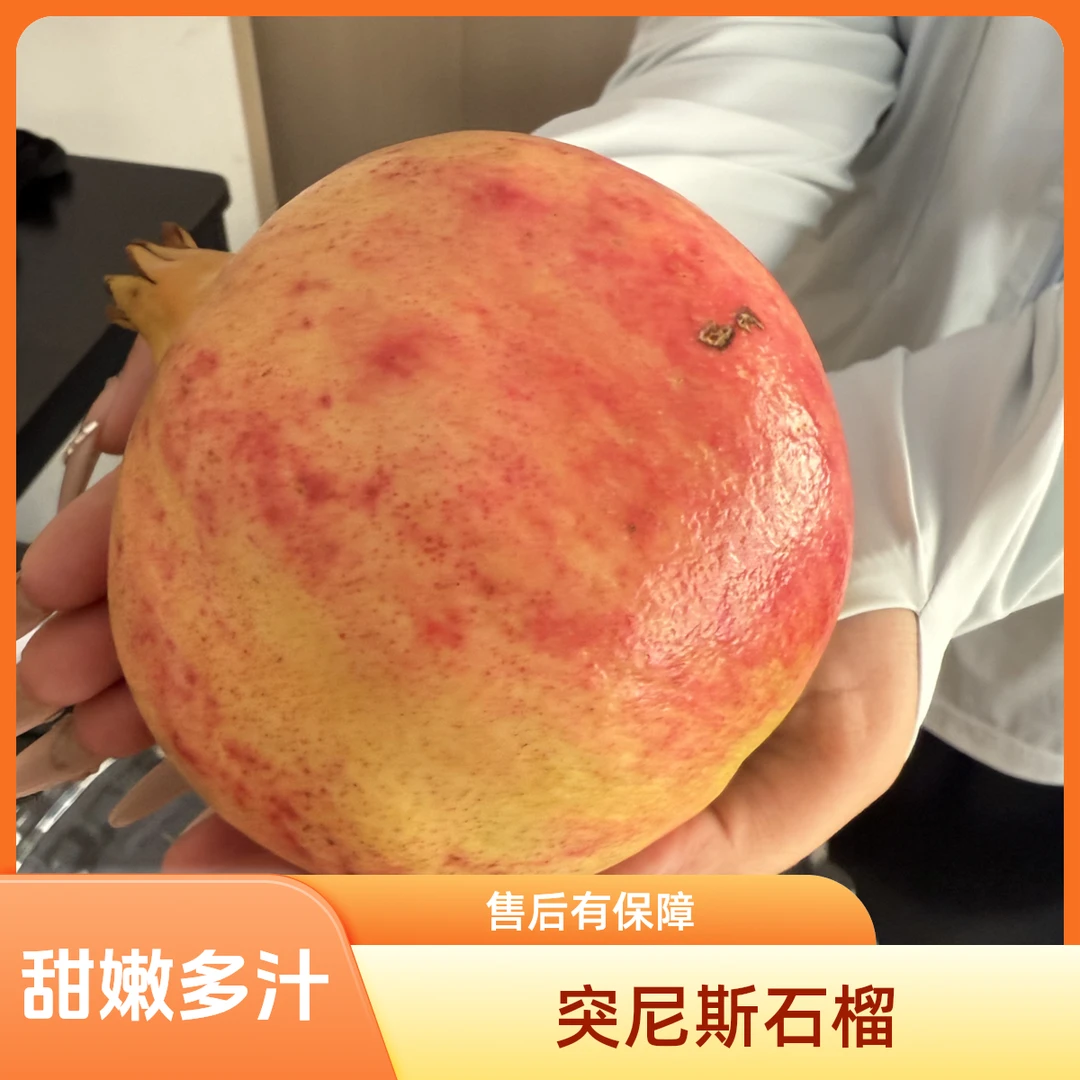 突尼斯软籽石榴（单个 1 斤-1.5 斤）