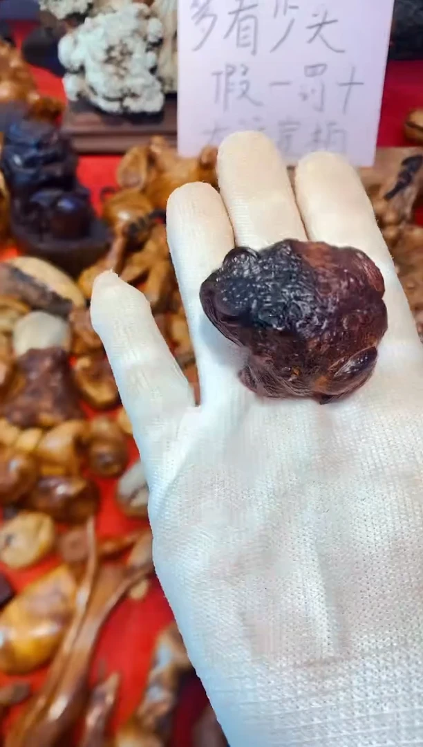 柏木（崖柏）38北太行崖柏手把件手串