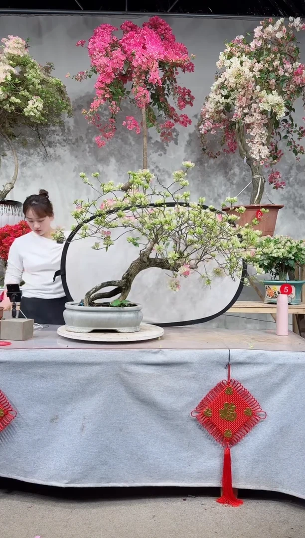 【闪购商品】盆景绿叶樱花