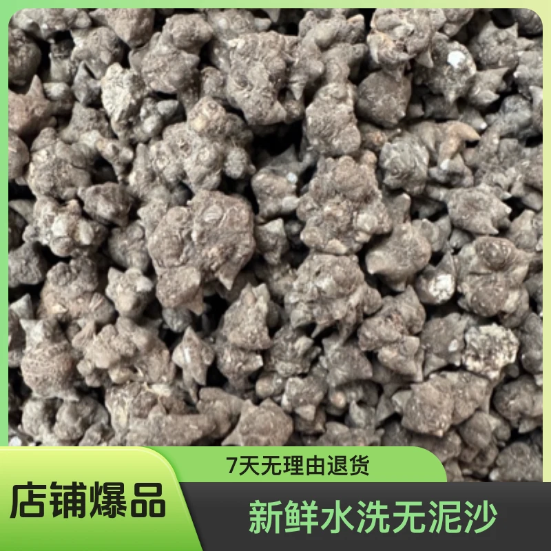 淮滨原产地新鲜水洗无泥沙无硫猫爪草干货包邮藤苍术白芷丁香枕包