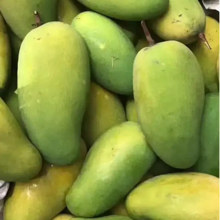 云南元江三年芒当季新鲜水果现摘芒果产地超大直发水果酸甜可口