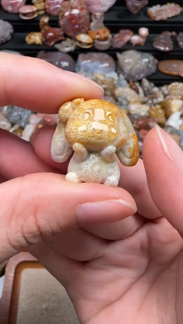 硅化珊瑚（珊瑚玉）未镶嵌颈饰413