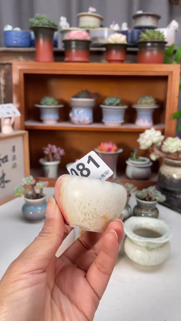 瓷片081福利知木小芳花盆