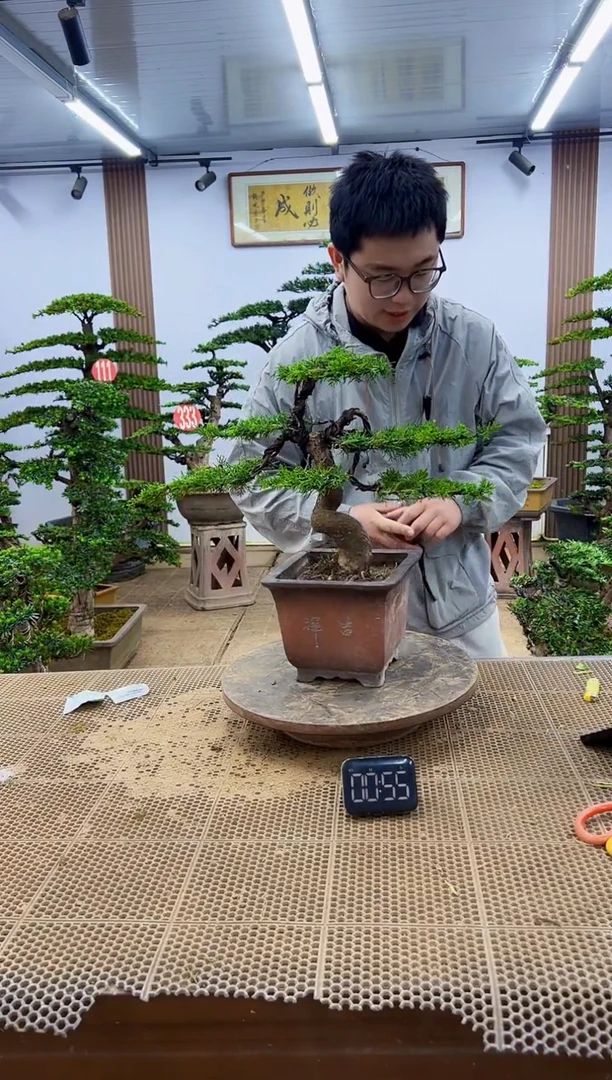 一物一拍，所见即所得