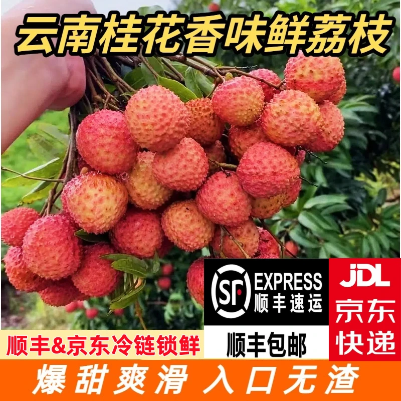 【顺丰&京东冷链包邮】2025新鲜现摘桂花香味荔枝自家果园冷链鲜达