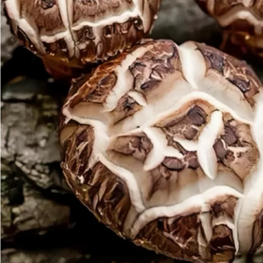 【随州花菇】大个干货香味浓郁肉厚煲汤营养菌菇特产