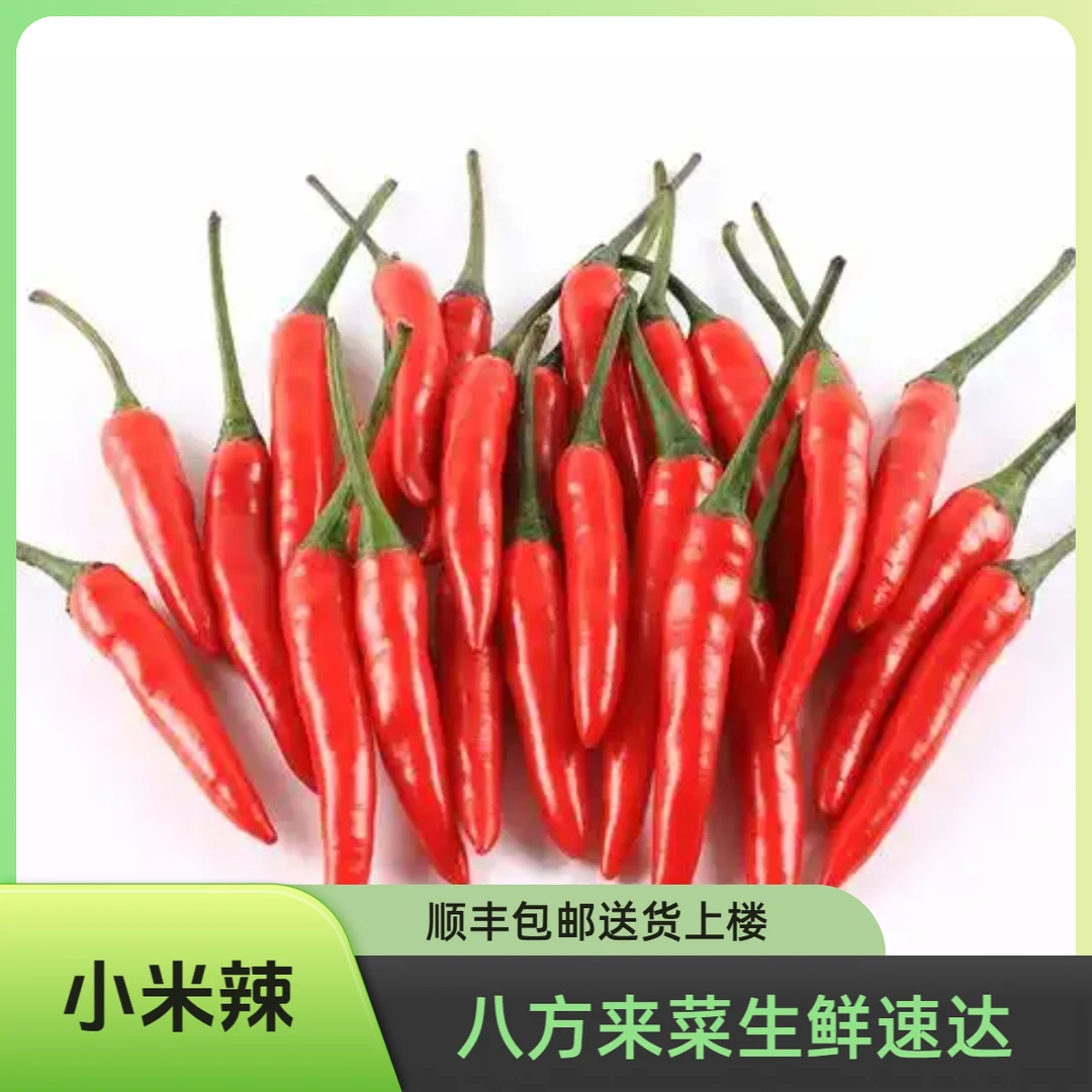 云南小米辣50g新鲜