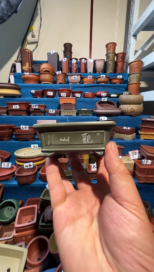 【闪购商品】紫砂紫砂我花盆