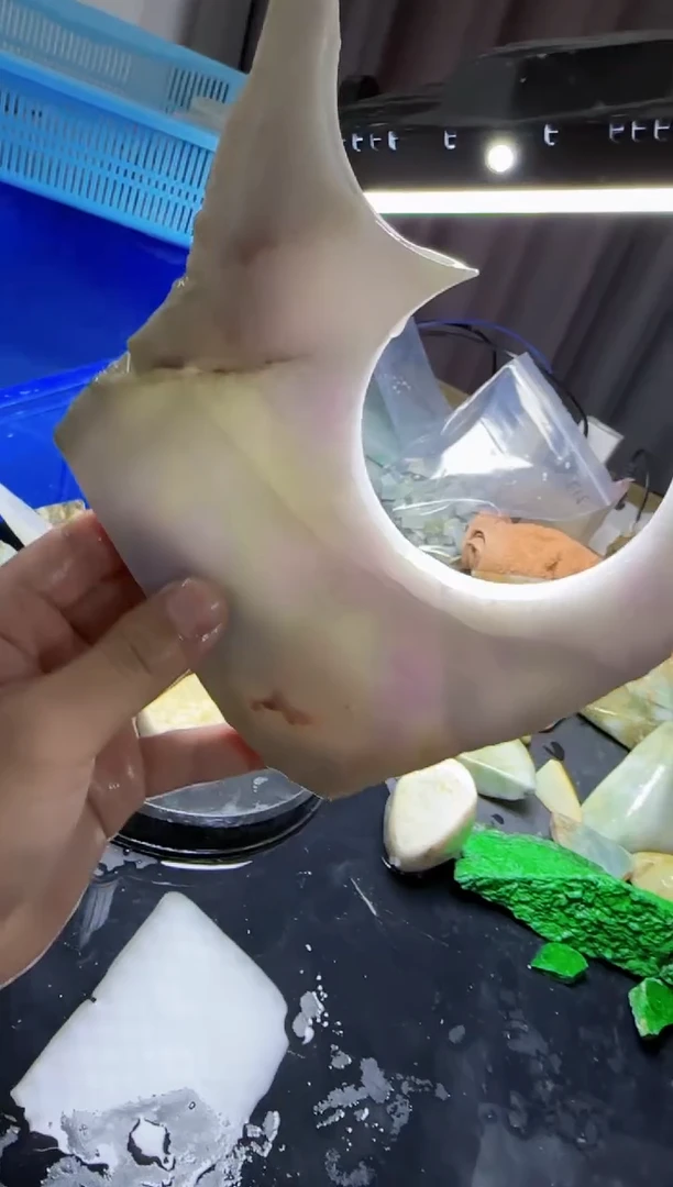 【闪购商品】翡翠颈饰未镶嵌042翡翠