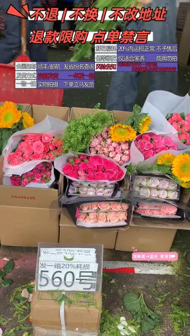 560号♥含20%耗损发一箱