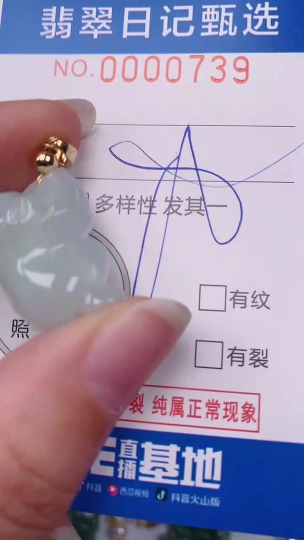 【闪购商品】翡翠颈饰未镶嵌00000739