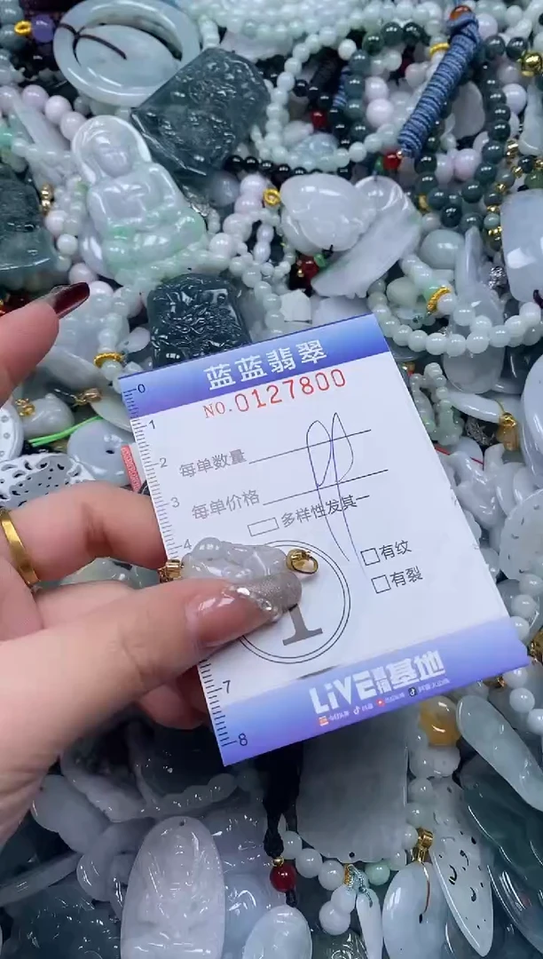 【闪购商品】翡翠颈饰未镶嵌闪购0127800