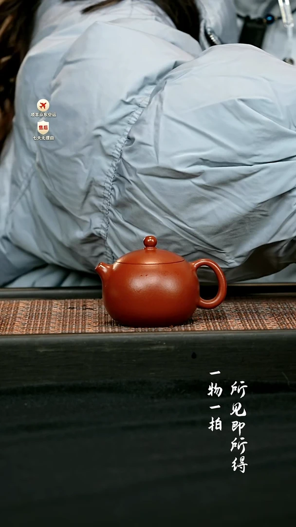 茶壶紫砂全手朱泥西施 一物见春