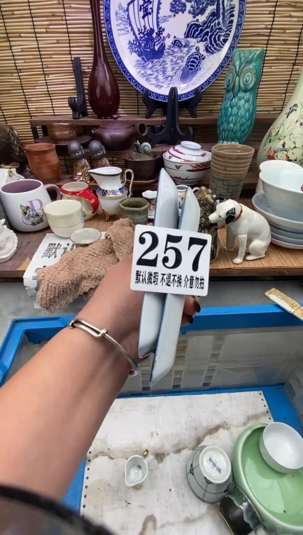 瓷片森的瓷器开播大吉