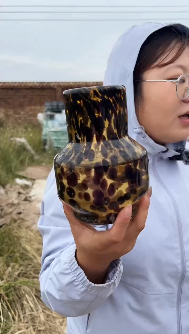 水养鲜花干花插花客厅装饰品