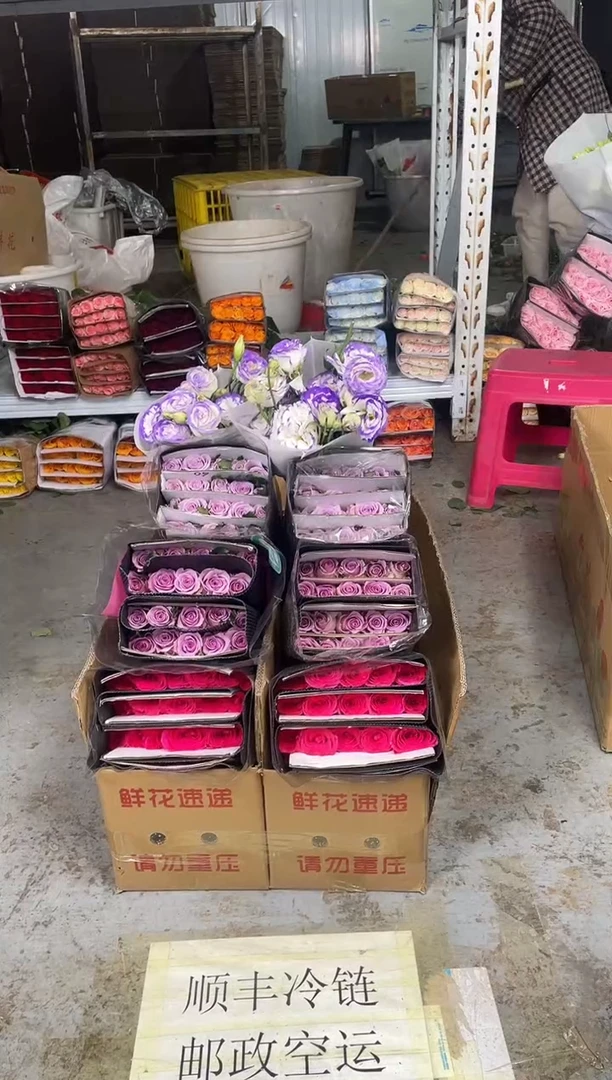 佛洛依德20枝+紫霞20枝+海洋之歌20枝+波浪浅紫洋桔梗800克