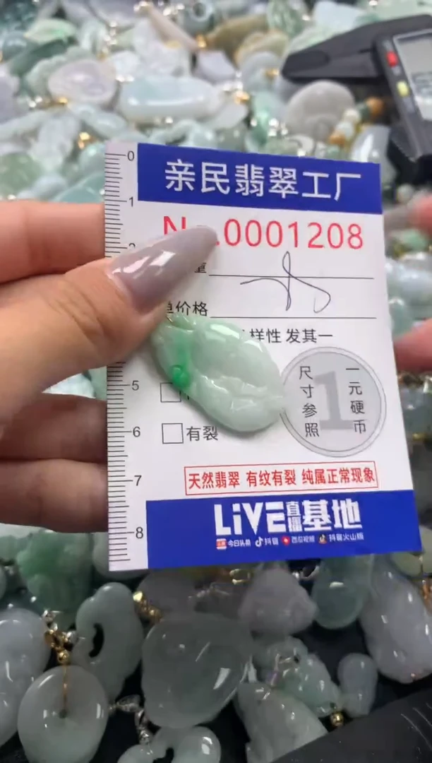 颈饰未镶嵌翡翠1208