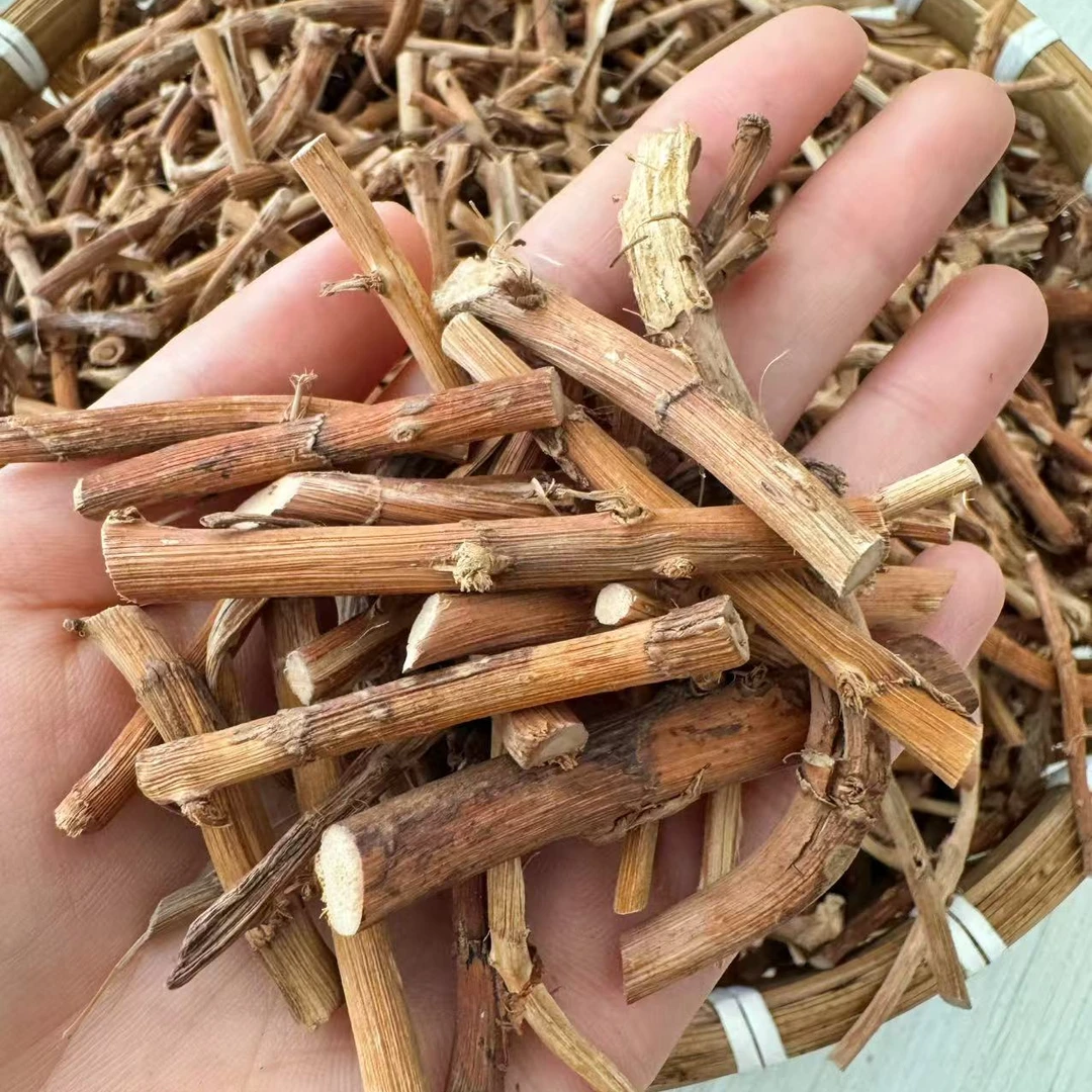 精选本地砂仁根干货