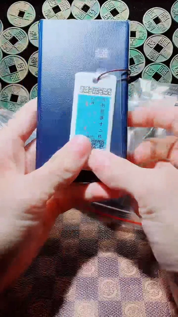 铜A122星精品湖南双旗贰拾文十二枚册（黑漆古）
