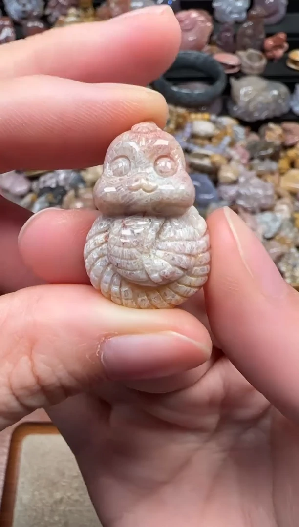 颈饰未镶嵌硅化珊瑚（珊瑚玉）481