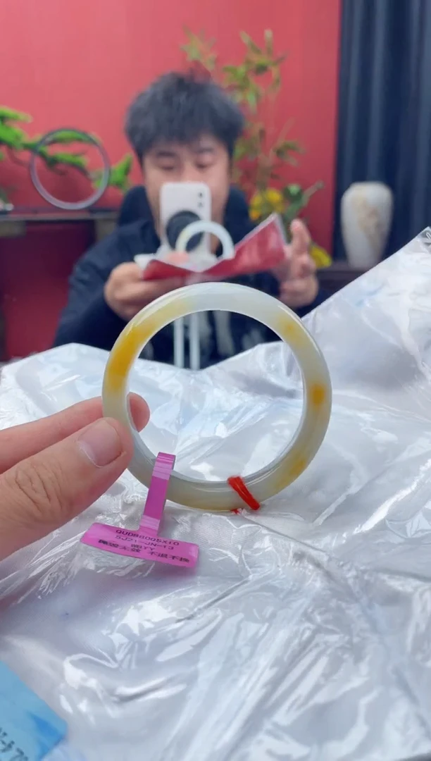 未镶嵌手镯翡翠4