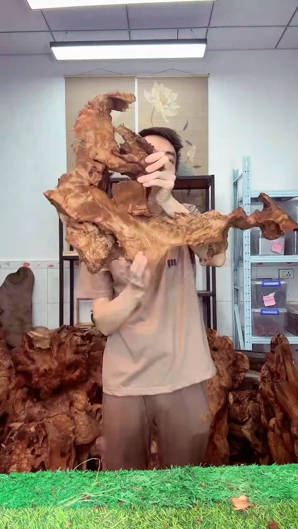 香杉木香杉老料327