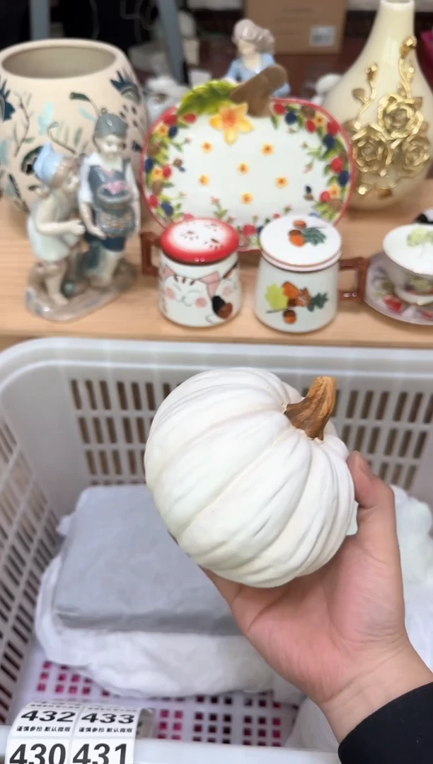 【闪购商品】瓷片427默认微瑕19.9包邮----
