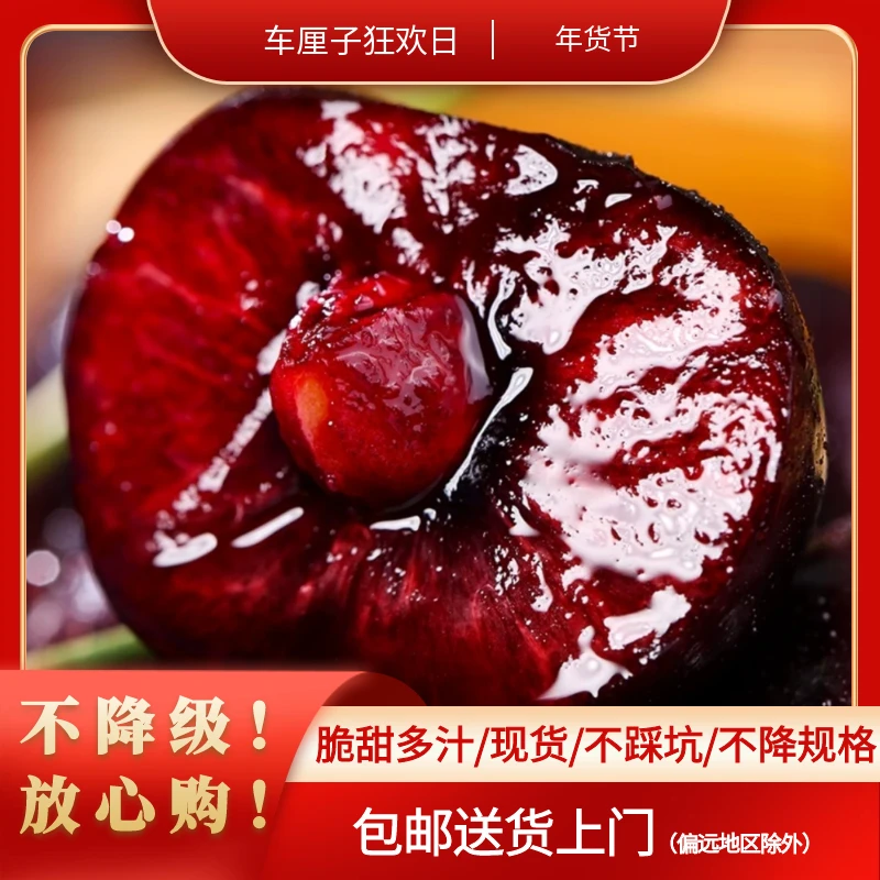 智利进口桑提娜车厘子3J海运5斤包邮到家TT 内附果径卡