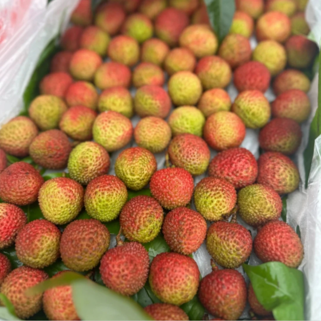 荔枝 广东妃子笑 树熟高甜皮薄肉厚果核小2-6.5斤装 只发川渝荔枝同城送新鲜