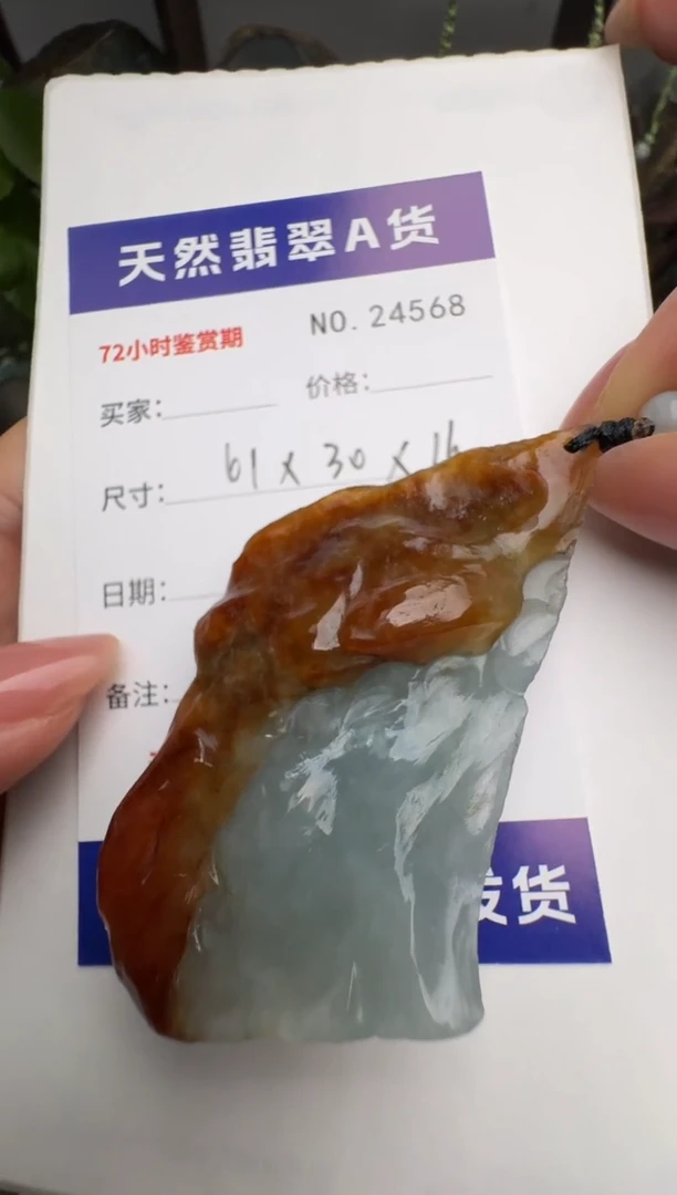 翡翠未镶嵌颈饰原石24568